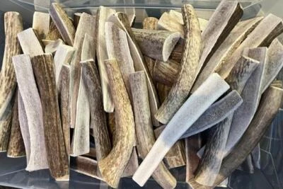 KAJO PETS 10 Pounds EXTRA LARGE Split Elk Antlers 6" - 12" FRESH Dog Lasting Chews Fresh