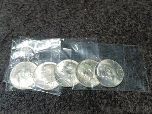 (1) Medio dólar Kennedy 1965 ~ brillante sin circular de rollo como nuevo en plástico - Imagen 1 de 3