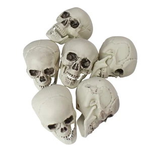 Northlight 6 White and Gray Skeleton Skull Heads Halloween Decors 3.5" - Picture 1 of 3