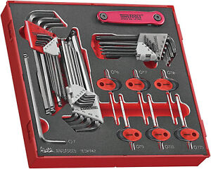 Teng Tools 42 Piece Hex/Torx Allen Key Screwdriver Set In EVA Foam Case ,TEDHT42