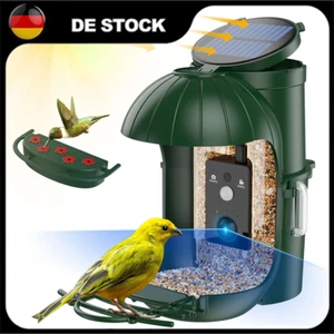 Vogelfutterhaus Kamera Vogelfutterstation Futterspender Solarmodule 720P HD DHL - Bild 1 von 20