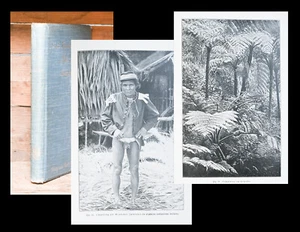1901 Mit schöner Widmung Signatur Ernst Haeckel Aus Insulinde Malayische... EA - Picture 1 of 1