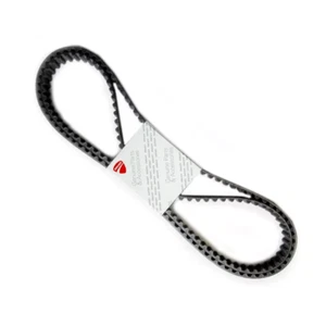 Set Cinture Temporizzazione Cam Ducati | Adatta 848 1098 1198 MTS1200 ecc | 73740251B Originale - Foto 1 di 4