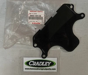 NOS Kawasaki ZZR600 E model 1993 2005 inspection cover Part no. 55028-1295-H8 - Picture 1 of 5