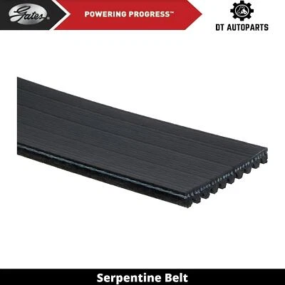 Para 1997-1999 Orion Bus Orion V 10L L6 GNC Serpentine Belt Alternator Gates 1998 Foto 1 de 4