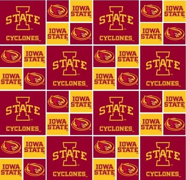 Iowa State University 100 Cotton Team Fabric by The Yard (bty) Sykel Isu-006