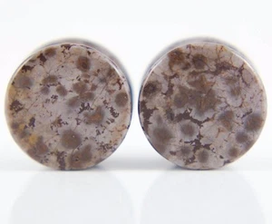 Pair of Ocean Jasper Stone Plugs Double Flared ear lobe - 6mm - 25mm -10sizes - Picture 1 of 7
