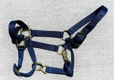 "Alter ajustable de nailon triple capa premium para caballos tamaño promedio con latón azul 1""" Foto 1 de 4