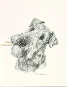 #26 AIREDALE TERRIER retrato perro impresión artística * dibujo a pluma y tinta * Jan Jellins - Imagen 1 de 1