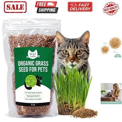 Semillas de hierba para gatos 100 % orgánicas - hierba para gatos de interior - no transgénica 8 oz Foto 1 de 4