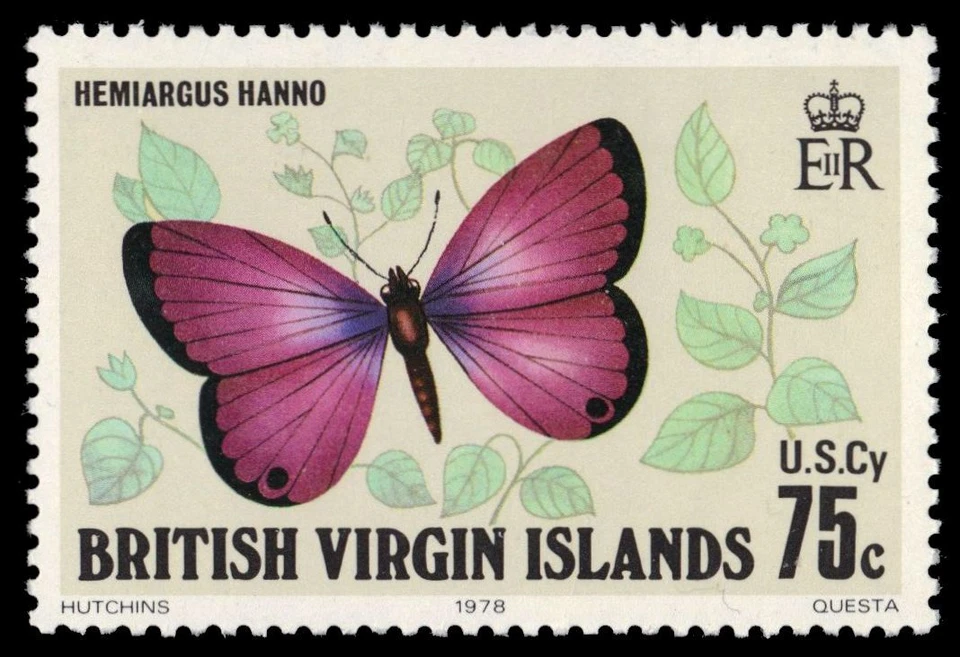 VIRGIN ISLANDS 345 (SG395) - Hanno Blue Butterfly "Hemiagus hanno" (pf28530) — 第 1/1 张图片