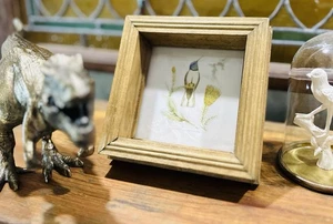 New Small Shadowbox Frame Aviary Bird vintage Art Home Decor Art - Picture 1 of 5