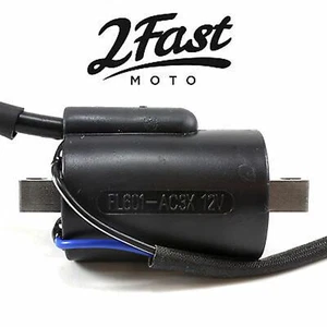 2FastMoto 12 Volt Ignition Coil for Honda Suzuzki 30501-292-672 / 30500-312-007 - Foto 1 di 7