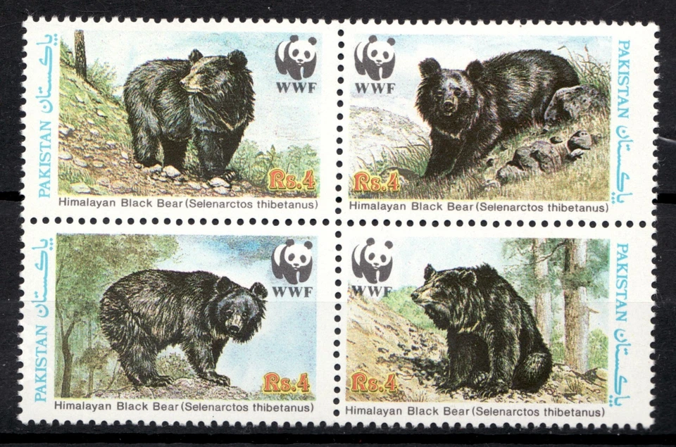 Pakistán 1989 Sc #719/WWF Osos Negros del Himalaya - Juego de sellos postales MNH Cv$8 Foto 1 de 1