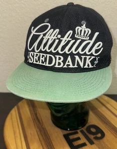 ¡SOMBRERO SNAPBACK NEGRO BANCO DE SEMILLAS ACTITUD BASE NUEVO SIN ETIQUETAS! NUNCA USADO. E19 - Imagen 1 de 5