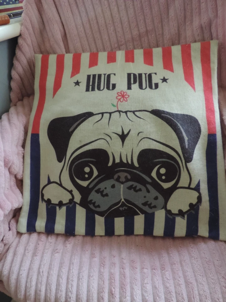 Funky " HUG PUG " Lux Brand Square Cushion + Plump Foamfilled Insert. - Image 1 of 1