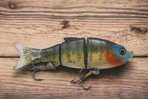 4 Segment Shad Swimbait - Picture 1 of 28
