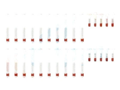 Juego de pernos de cabeza 45133TDZF 2005 2006 2007 2008 para Chevrolet Express 2500 2004-2009 Foto 1 de 2