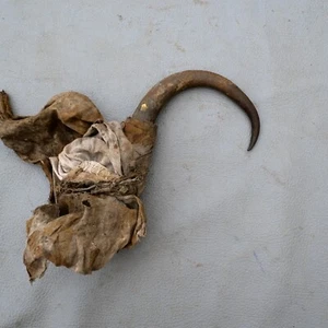 Antique orig. Iron handforged Nautical Marine Sailor spike Hook Rope Tool - Picture 1 of 6
