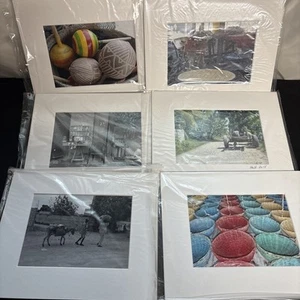 2015 Matted Framed Photo's Haiti haitireads.org president Jeanette Alfred Set 6 - Picture 1 of 5