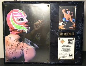 RARE NWO WWE Rey Mysterio JR. Autographed Signed Picture w/ Card W/COA Limited - Picture 1 of 7