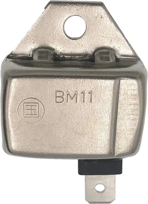 PARTSRUN 21119-2161 Igniter Ignitor Module for Club Car DS Gas Golf Cart 1992-19