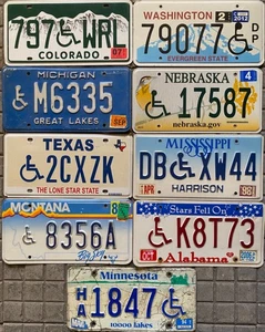 8 TARGHE USA auto ORIGINALI + MINNESOTA OMAGGIO Serie Disabile Fisioterapia - Picture 1 of 6
