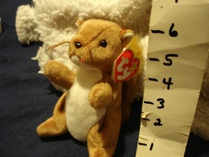 TY Beanie Baby NUTS das Eichhörnchen 5 1/2 Zoll Sitzsack Plüschtier Stofftier - Bild 1 von 6