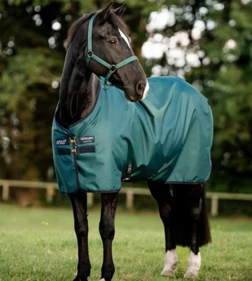 Horseware Amigo Hero Ripstop 900d Weidedecke leicht 50g Lite 3'9"-7'0"