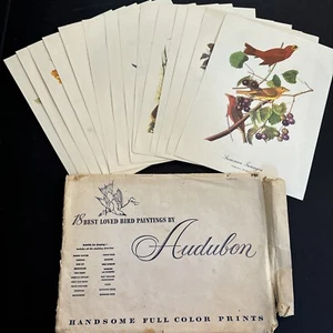 Vintage AUDUBON 18 Best Loved Bird Paintings Full Color Prints -3 prints missing - Picture 1 of 9