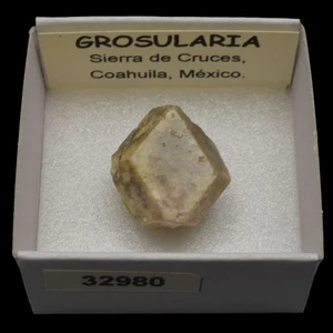 GROSULARIA (Sierra de Cruces, Coahuila, Mexico) #32980 / Grossular - Picture 1 of 1
