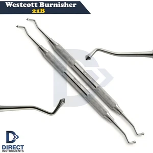 2Pcs Dental Amalgam Burnisher Westcott 21B Restorative Plastic Filling Acorn Tip - Picture 1 of 3