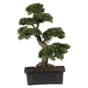 Zeder Bonsai 24" Seidenpflanze fast natürlich künstliche Zeder Bonsai Indoor Natur - Bild 1 von 1