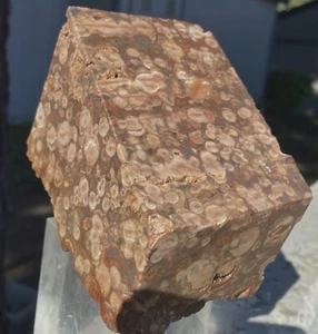 FLOWER JASPER ORBICULAR RARE STRIKING LARGE BLOCK 3.85  Lbs - 1.590 KiLOS MEXICO - Picture 1 of 15