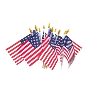 2 piezas pequeñas banderas americanas en palo, decoraciones patrióticas pequeñas banderas de EE. UU. en 1 - Imagen 1 de 7