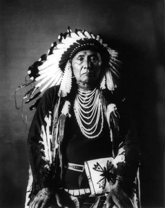 Native American Indian Chief Joseph Nez Perce Wall Art Photo Picture 10x8 Print - Picture 1 of 6
