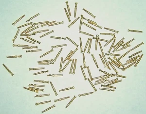 ~Qty=25  AMP  1-66504-0 Tyco TE Crimp Female Socket Size=20 DF Contact. - Picture 1 of 2