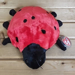 TY Beanie Baby Buddy Babies Plush Lucky The Ladybug RED & BLACK W/Tags - Picture 1 of 5