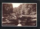 E3839 UK Bolton Woods The Valley of the Strid Walter Scott RPPC vintage postcard