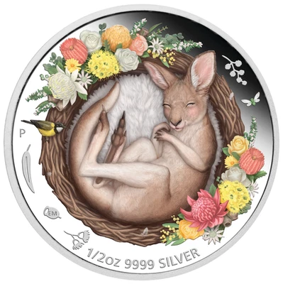 Dreaming Down Under Känguru 2021 – 1/2 oz Silber Proof Farbmünze Perth Mint - Bild 1 von 4
