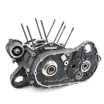 Harley Davidson Sportster 1200 2007 2013 caja de motor personalizada bloque OEM C97 13-07 Foto 1 de 4