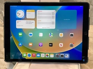 Apple iPad Pro Wi-Fi 32GB Space Grey ML0F2X/A (2015) + Charger and Original Box - Picture 1 of 5