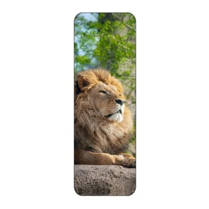 LION WILD ANIMAL BEAUTIFUL NOVELTY BOOKMARK SAME IMAGE BOTH SIDES GREAT GIFT - Picture 1 of 1