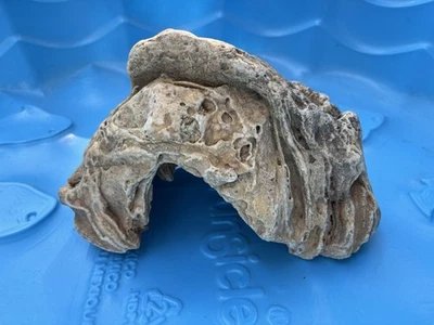 Gran acuario roca cueva decoración natural escondite cría refugio camarón cíclido Foto 1 de 4