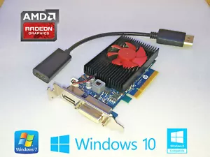 HP EliteDesk G3 G4 G5 G6 SFF Low-Profile 2GB DVI DP x8 Video Card + HDMI Adapter - Picture 1 of 1