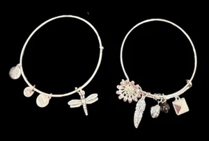 Lot of 2 Expandable Bangle Slide Bracelets Silver Color Charms 1 Alex & Ani - Picture 1 of 7