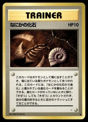 Mysterious Fossil  Mystery of the Fossils - Image 1 of 2