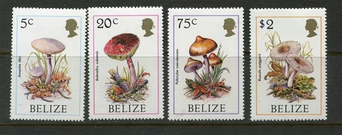 Belize #843-850 Complete Mushroom Set [Mint Never Hinged] Cover