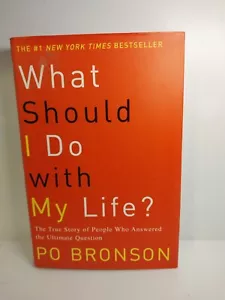 Po Bronson What Should I Do With My Life - Bild 1 von 4