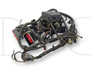 Arnés de cableado caja de fusibles carrocería delantera 96-97 Ford F250 F350 7,3 F6Tb-12A581-P260F Foto 1 de 4